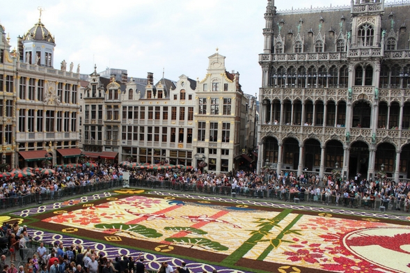 The Carpet of Flowers, Brussels