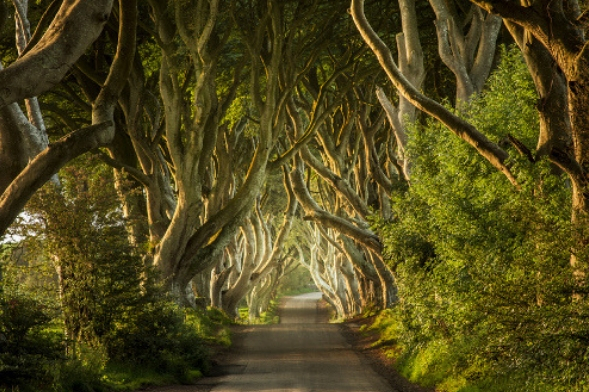 Game of Thrones-North Ireland
